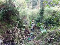 Community Payback at Beecraigs Country Park